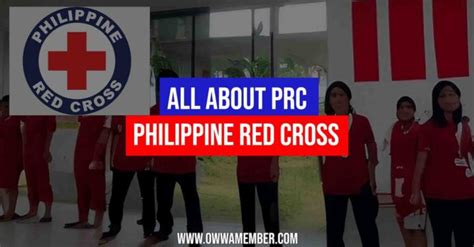 prc boards|Philippine Red Cross aids over 100 patients amid leptospirosis .